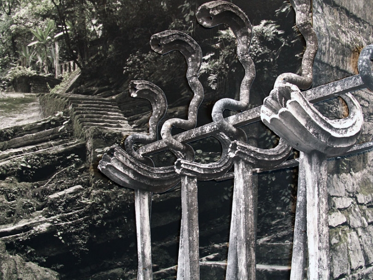 http://www.soccer.mirunadragan.com/files/gimgs/th-6_IMG_2470_Xilitla_W.jpg