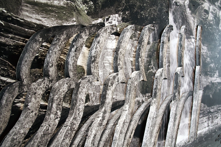 http://www.soccer.mirunadragan.com/files/gimgs/th-6_IMG_2473_Xilitla_W.jpg